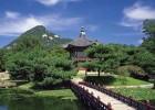 一个男人也能学会试管婴儿？——掌握视频教程下载的关键步骤